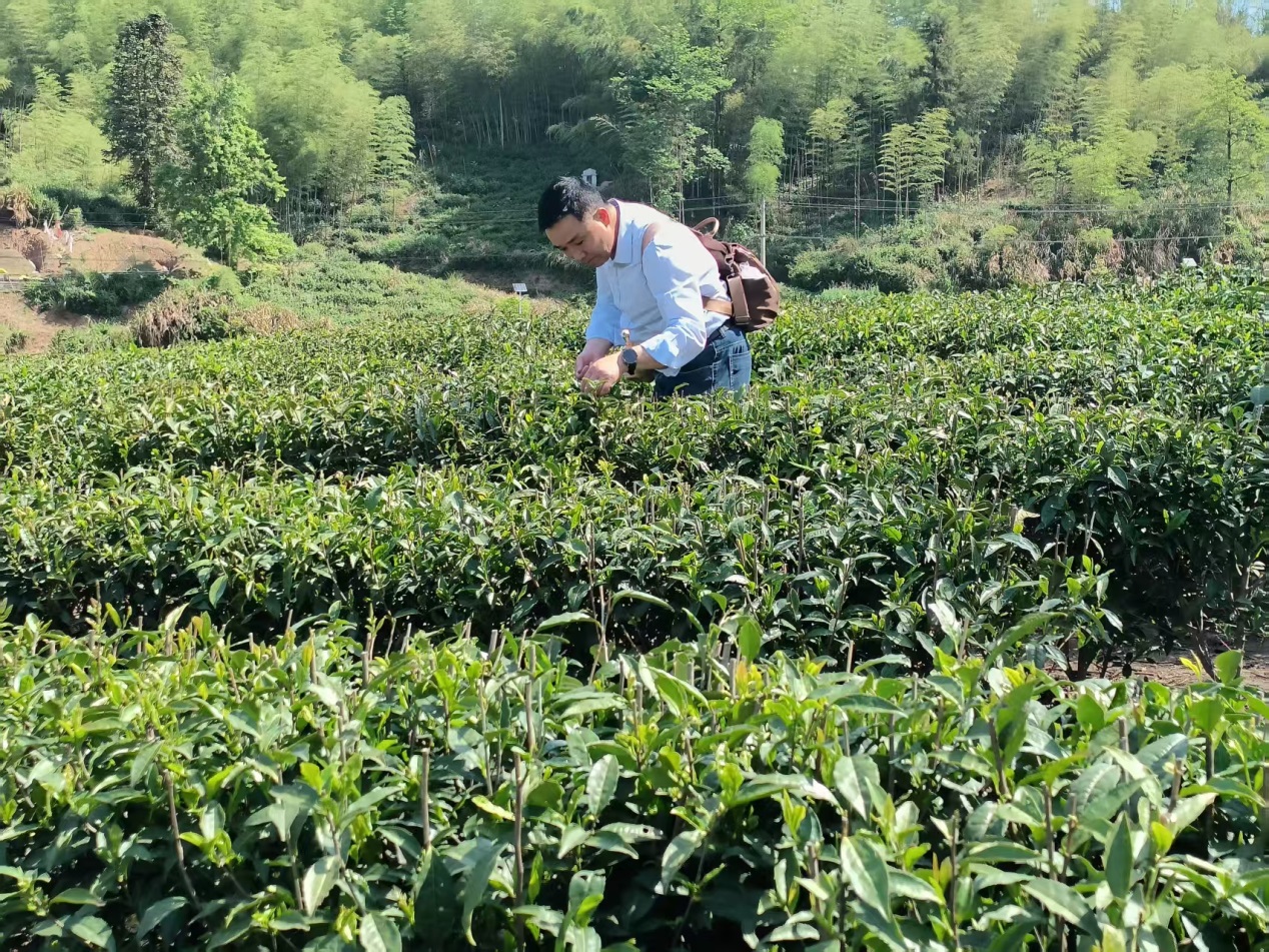 说明: C:\Users\xuzheng\Documents\WeChat Files\wxid_9br0t623lvz622\FileStorage\Temp\5e4d24f5bcbb3e9bcc80bbd05f666d5.jpg